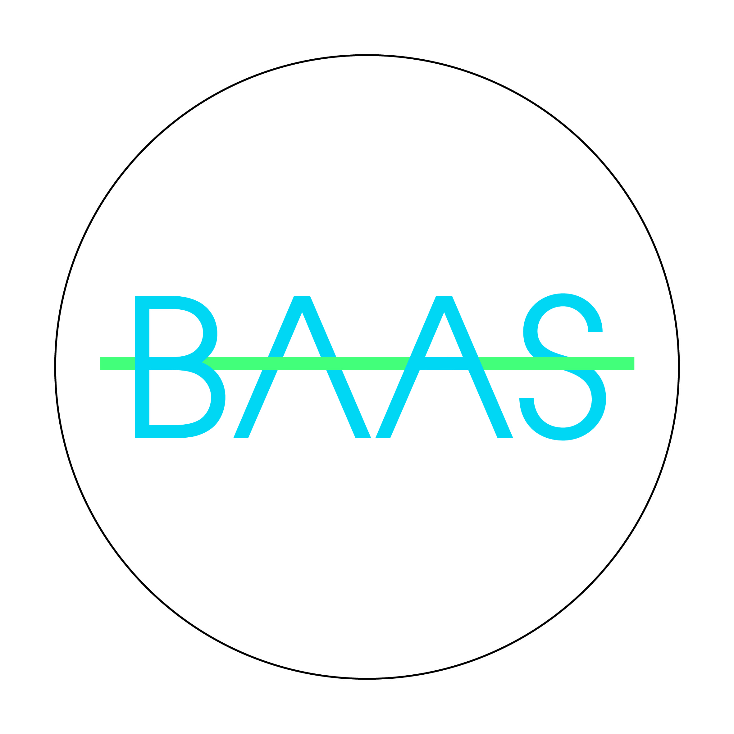baas bookkeeping icon
