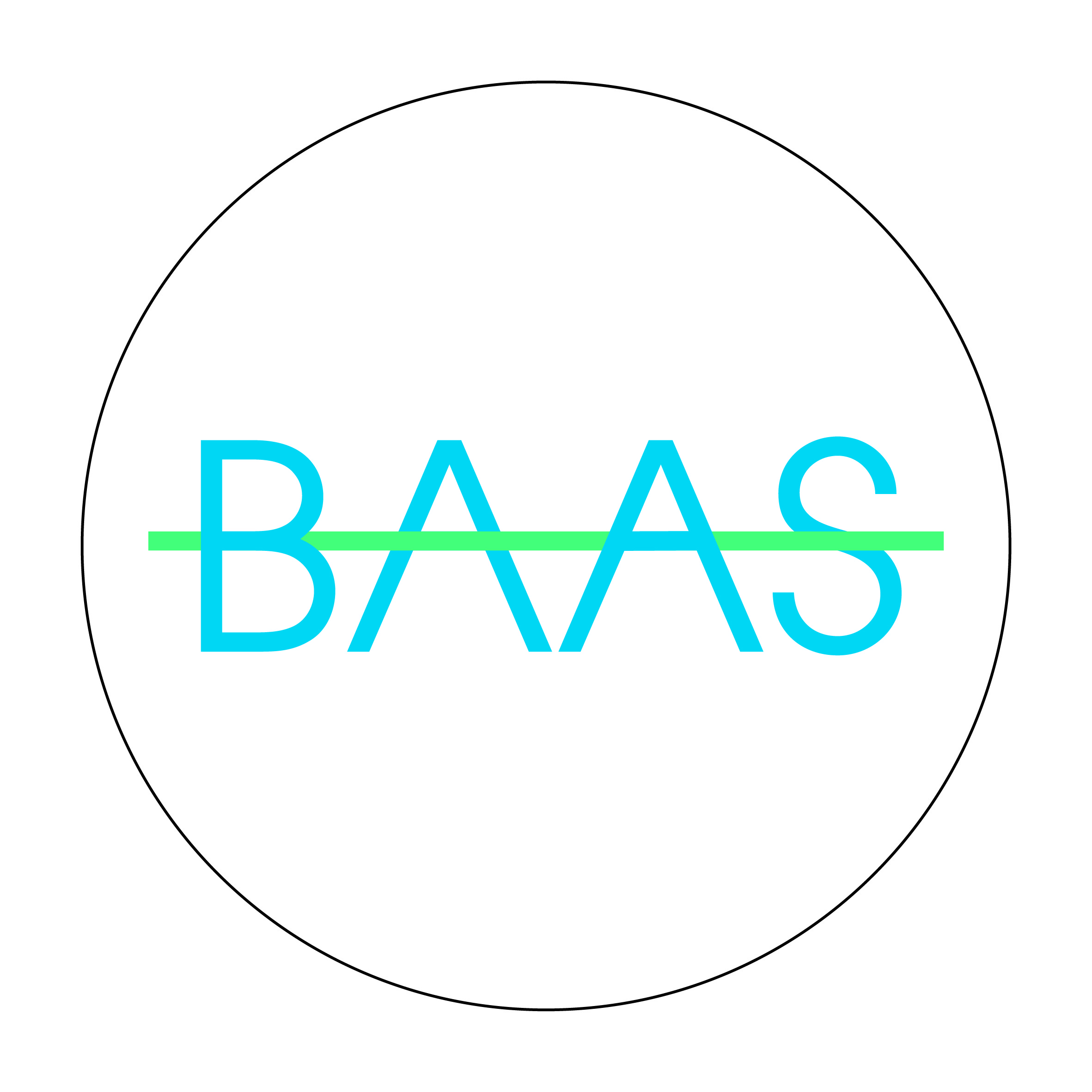 BAAS Icon white baas bookkeeping icon
