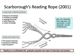 scarborough's reading rope infographic